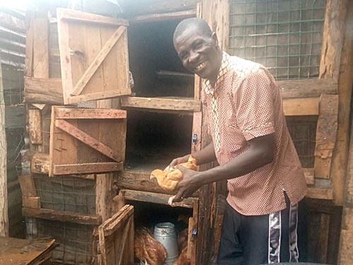 MHF Pilot Poultry Project